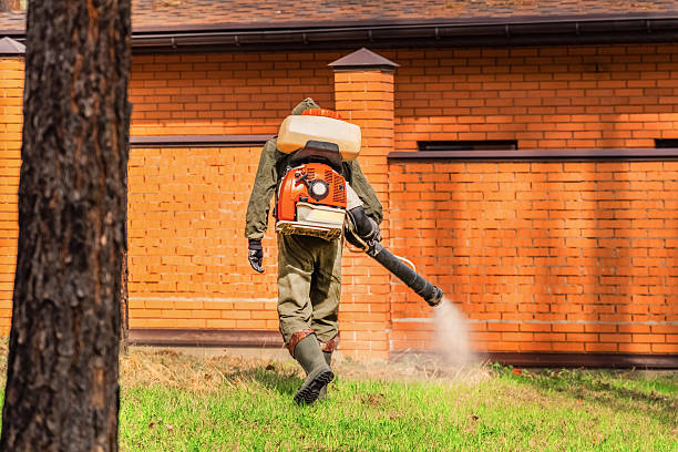 Bed Bug Clearance Verification and Documentation in Palm Springs